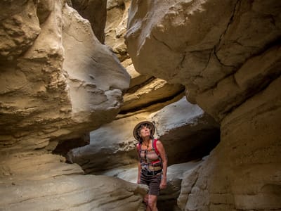 Anza-Borrego State Park: \"The Slot\"
