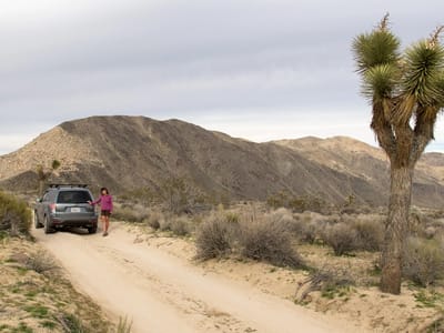 Joshua Tree National Park: Geology Tour Road