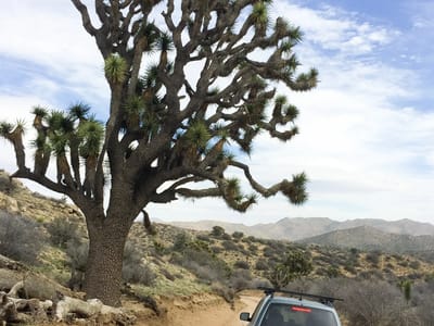 Joshua Tree National Park: Off-roading to Eureka Peak