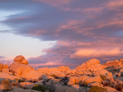 Joshua Tree National Park: Jumbo Rocks Campground