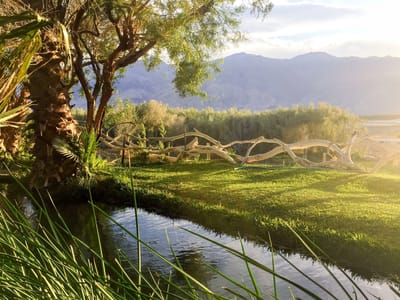 Death Valley - Saline Valley Warm Springs: Paradise