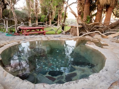 Death Valley - Saline Valley Warm Springs: Lizard's Pool