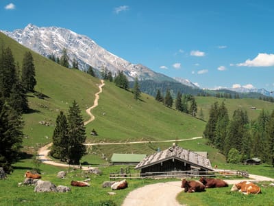 Berchtesgaden National Park: Konigsbach Alm on hike up to Jenner summit