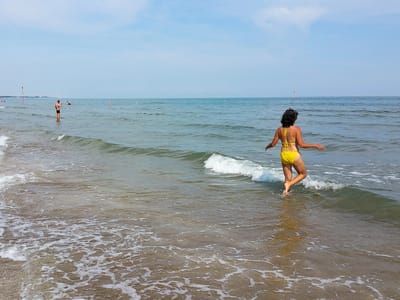 Venice: Lolo frolicking in the Adriatic Sea