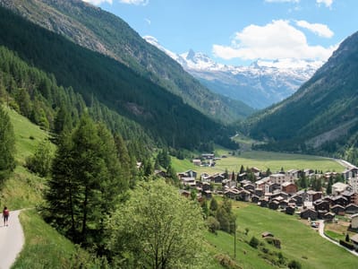 Zermatt and the Matterhorn: The Hohenweg above Tasch