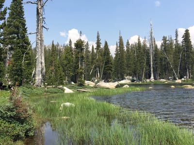 Yosemite - Tuolumne Meadows: Polly Dome Lake