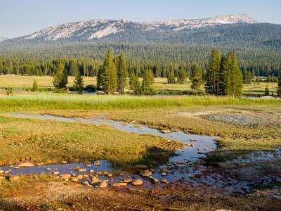 Yosemite - Tuolumne Meadows: Tuolumne Meadows