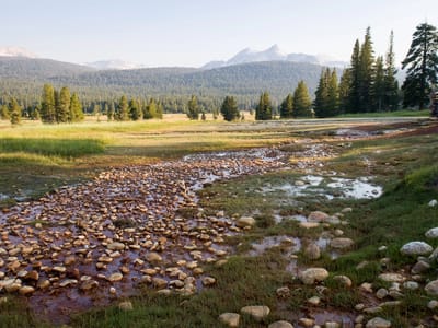 Yosemite - Tuolumne Meadows: Tuolumne Meadows