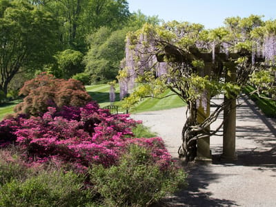 Blue Ridge Parkway to Ashville: Biltmore Estate Gardens
