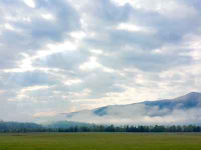 Cades Cove Loop to Lebanon: Cades Cove Meadow