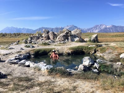 Long Valley Primitive Hot Springs: Wild Herbie