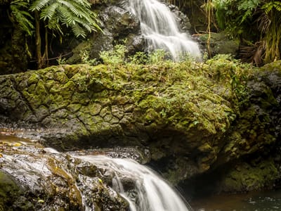 Hilo (Big Island): Waterfall in Hawaii Tropical Botanical Garden