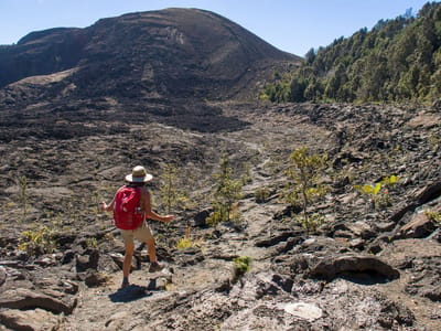 Hilo (Big Island): Lolo of Kilauea Iki Crater