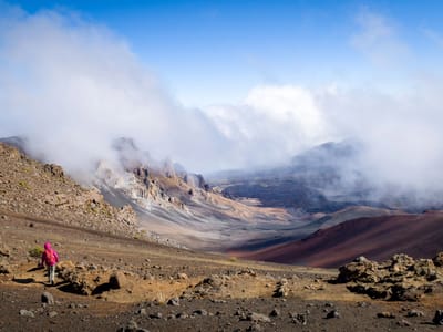 Maui: Lolo descending into Haleakala Crater