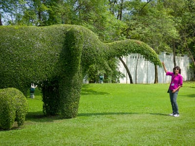 Ayutthaya: Lolo playing with the elephants at Bang Pa In