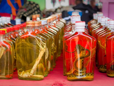 Chiang Rai: Laos cocktail hour - complete with tiger penis