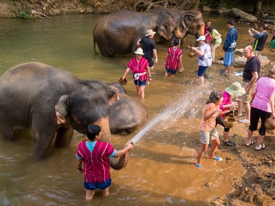 Chiang Mai: Washer or washee?