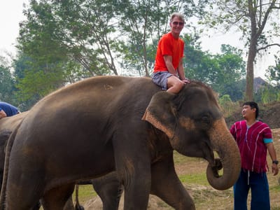 Chiang Mai: Herb atop his pachyderm
