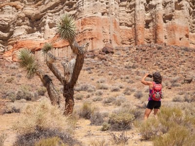 Red Rock Canyon State Park: Hagan Canyon Trail
