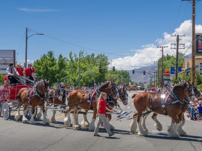 Bishop: Mule Day Parade
