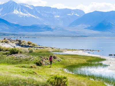 Mono Lake: Lovely Mono Lake