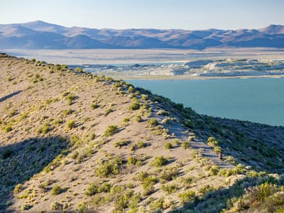 Mono Lake: Panum Crater Ridge