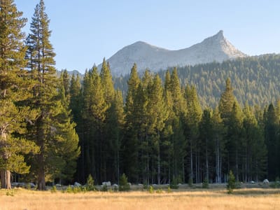 Tuolumne Meadows: View of Unicorn Peak from the Meadow