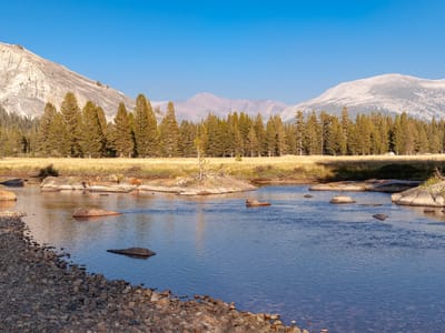 Tuolumne Meadows: View of Lembert Dome from Tuolumne Meadows