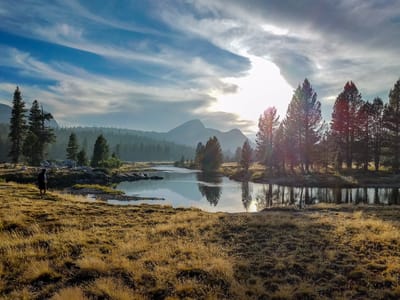Tuolumne Meadows: Lovely Tuolumne Meadows