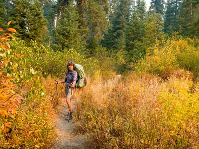 Canyon Creek Trailhead to the Sinks: Into the Woods