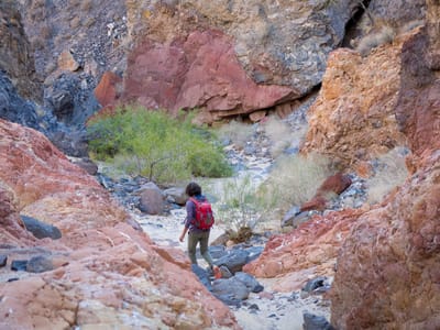 Mohave Road - Fort Piute (mile 23.7) to just shy of Marl Springs (mile 77): Hike down to Piute Springs