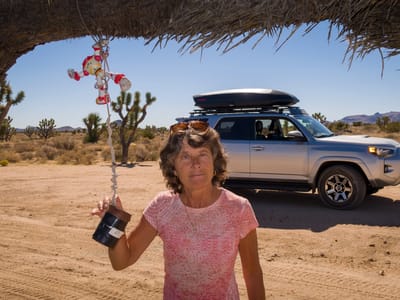 Mohave Road - Fort Piute (mile 23.7) to just shy of Marl Springs (mile 77): Lolo and the Penny Can