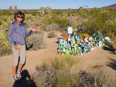 Mojave Road - Near Marl Springs (mile 77) to entrance to Afton Canyon (mile 116): Lolo ready to make our contribution to the Frog Garden