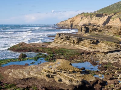 San Diego: Point Loma tide pools