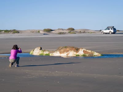 Border Crossing and San Quintin: Lolo photographing the shipwreck