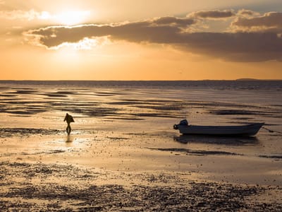 Kuyima Eco Tour Whale Watching Camp: Low tide in Laguna San Ignacio