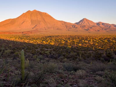 Eco Tour Las Tres Vírgenes: Morning light on Las Tres Virgenes