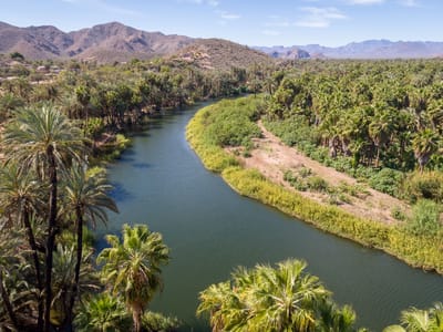Mulege: Rio Santa Rosalia de Mulege