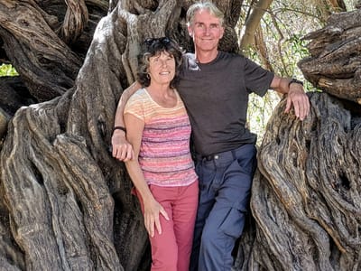 Mision San Francisco Javier: 315-year-old olive tree (plus us)