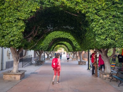Loreto: Lolo meandering along the Paseo Salvatierra