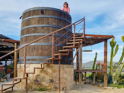 Valle de Guadalupe and La Ruta del Vino: Lolo enjoying the view from atop a wine barrel at Finca Altozano in the Valle de Guadalupe