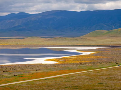 Carrizo Plains National Monument: Carrizo Plains - Soda Lake salt flats