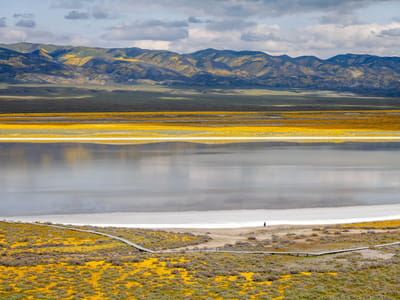 Carrizo Plains National Monument: Carrizo Plains - Soda Lake salt flats
