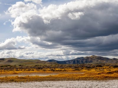 Carrizo Plains National Monument: Carrizo Plains - Soda Lake salt flats