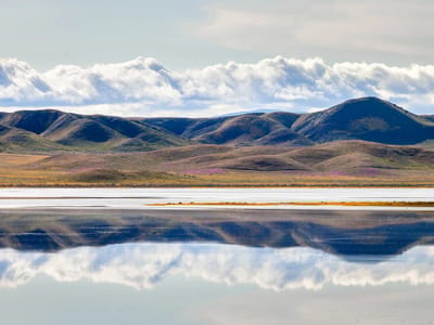 Carrizo Plains National Monument: Carrizo Plains - Soda Lake salt flats