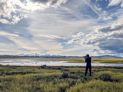 Carrizo Plains National Monument: Herb doing what he loves doing