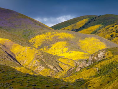 Carrizo Plains National Monument: Little lolo loose in Carizzo Plains