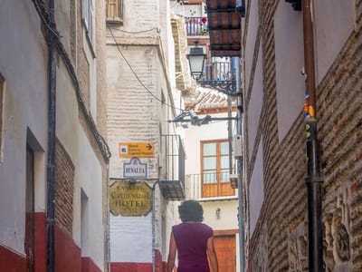 Granada: Lolo strolling up the steps of the Albaicin