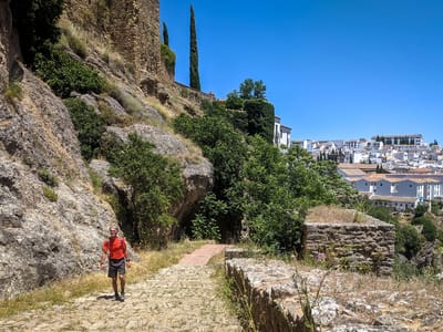 Ronda: Herb wandering through Ronda's Old Town