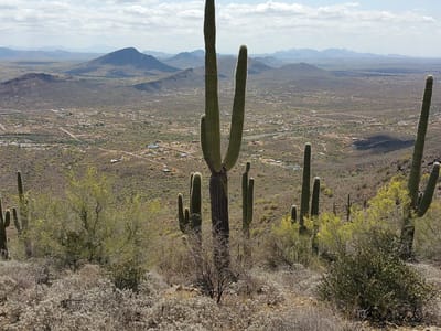 I17 to Phoenix: View from Summit